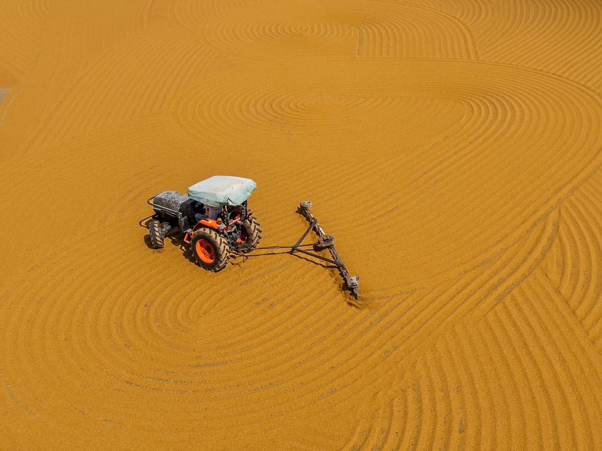 An aerial view of an orange-colored agricultural field with evenly spaced, curved planting lines. In the center, a small tractor with large black tires, orange rims, and a white covered cabin is visible. Attached to the tractor is a mechanical implement used for soil preparation or crop management, positioned on the ground and connected with long metal arms. The field appears well-maintained and is likely being prepared for planting or weed control. The scene highlights the use of machinery in farming and land management, which can relate to the context of waste management or site clearance services offered by companies like House Clearance Harrow, especially in managing outdoor areas or garden waste removal for property clearance projects.