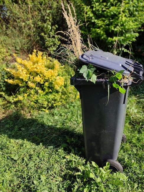 A black wheeled rubbish bin positioned outdoors on a grassy area next to a dense green hedge with yellow flowering shrubbery in the background. The bin's lid is closed and topped with a pile of mixed garden waste, including long, dried ornamental grasses, green leafy branches, and various plant debris. The surrounding environment features lush vegetation and natural sunlight, suggesting a garden or private outdoor space suitable for on-site garden waste removal or alternative private disposal services. The scene reflects a typical setup for waste collection outside a residential property, with the bin prepared for rubbish collection or self-service garden clearance by companies like House Clearance Harrow.